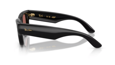 Ray-Ban 4940 Wayfarer Puffer